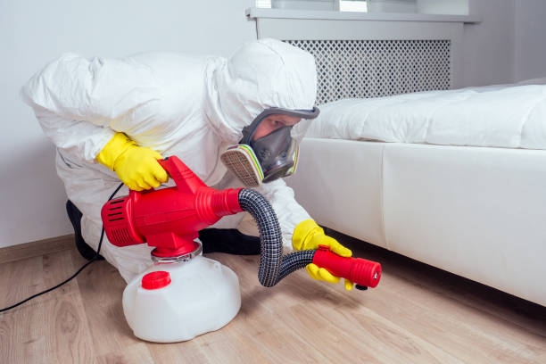 Best Local Pest Control Services  in Lewiston, ID