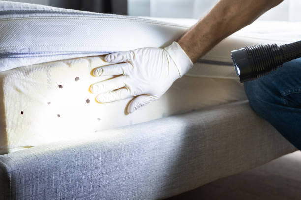 Best Exterminator Services  in Lewiston, ID