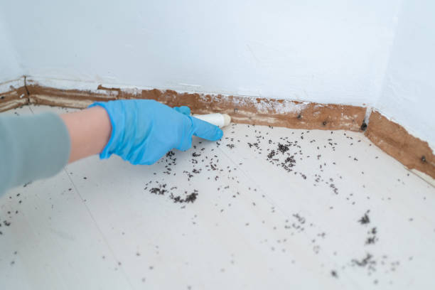 Best Best Pest Control Companies  in Lewiston, ID
